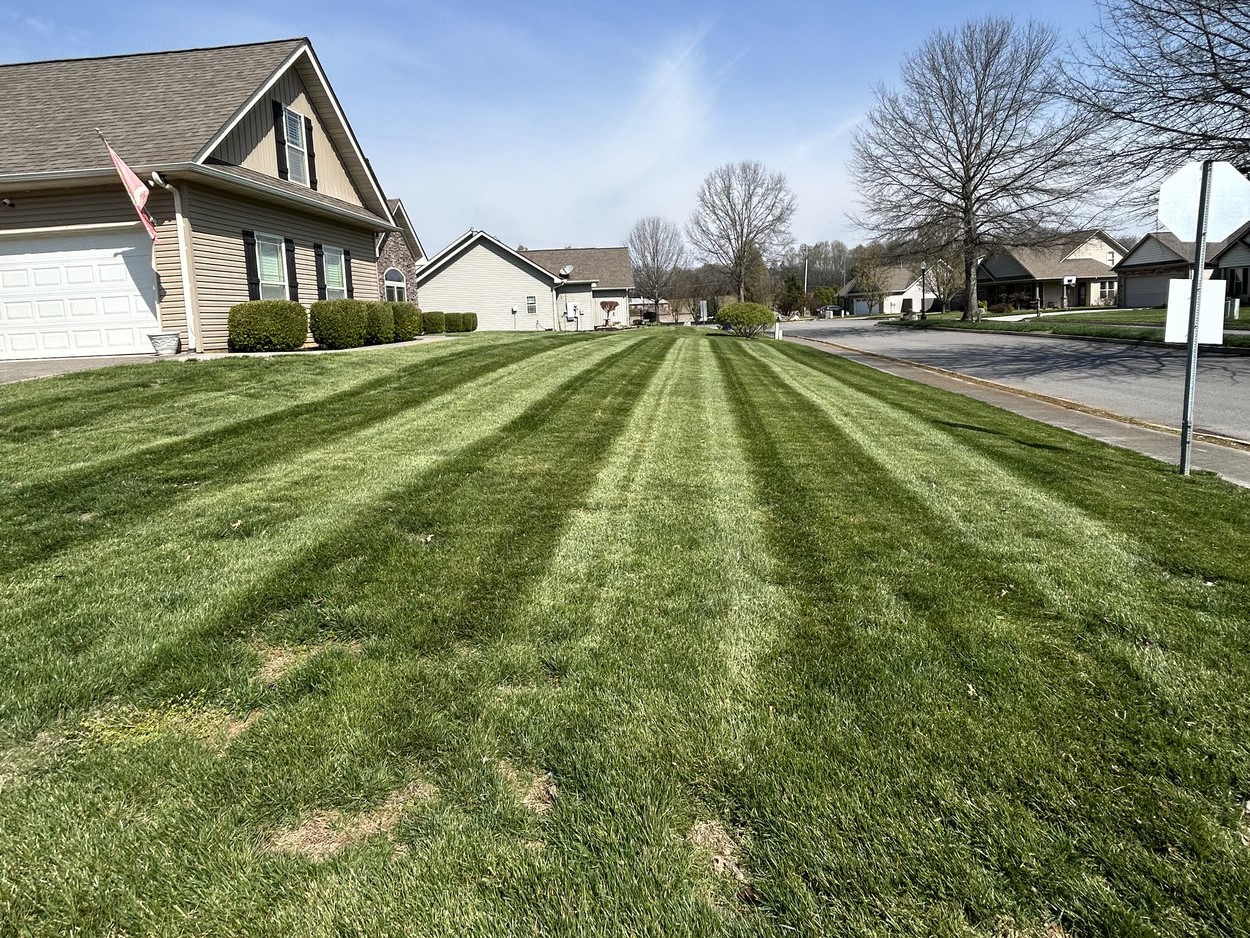 Curb Appeal