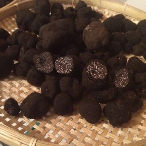imgi_21_tuber_brumalle_01