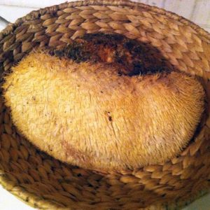 imgi_30_hericium_04