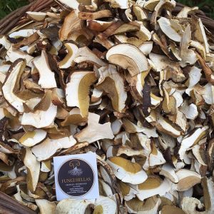 imgi_53_boletus_03 (1)