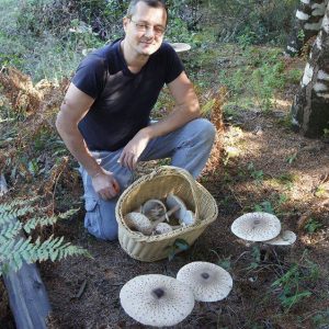 imgi_55_macrolepiota_05