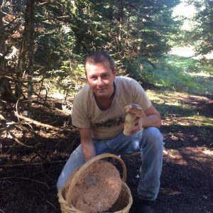 imgi_56_macrolepiota_06