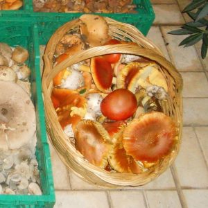 imgi_59_caecarea_09