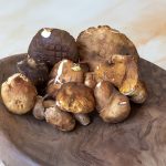 Βασιλομανίταρα (porcini)