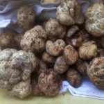 Tuber Borchii 50 gr