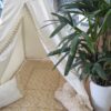 Ivory - Botanical
